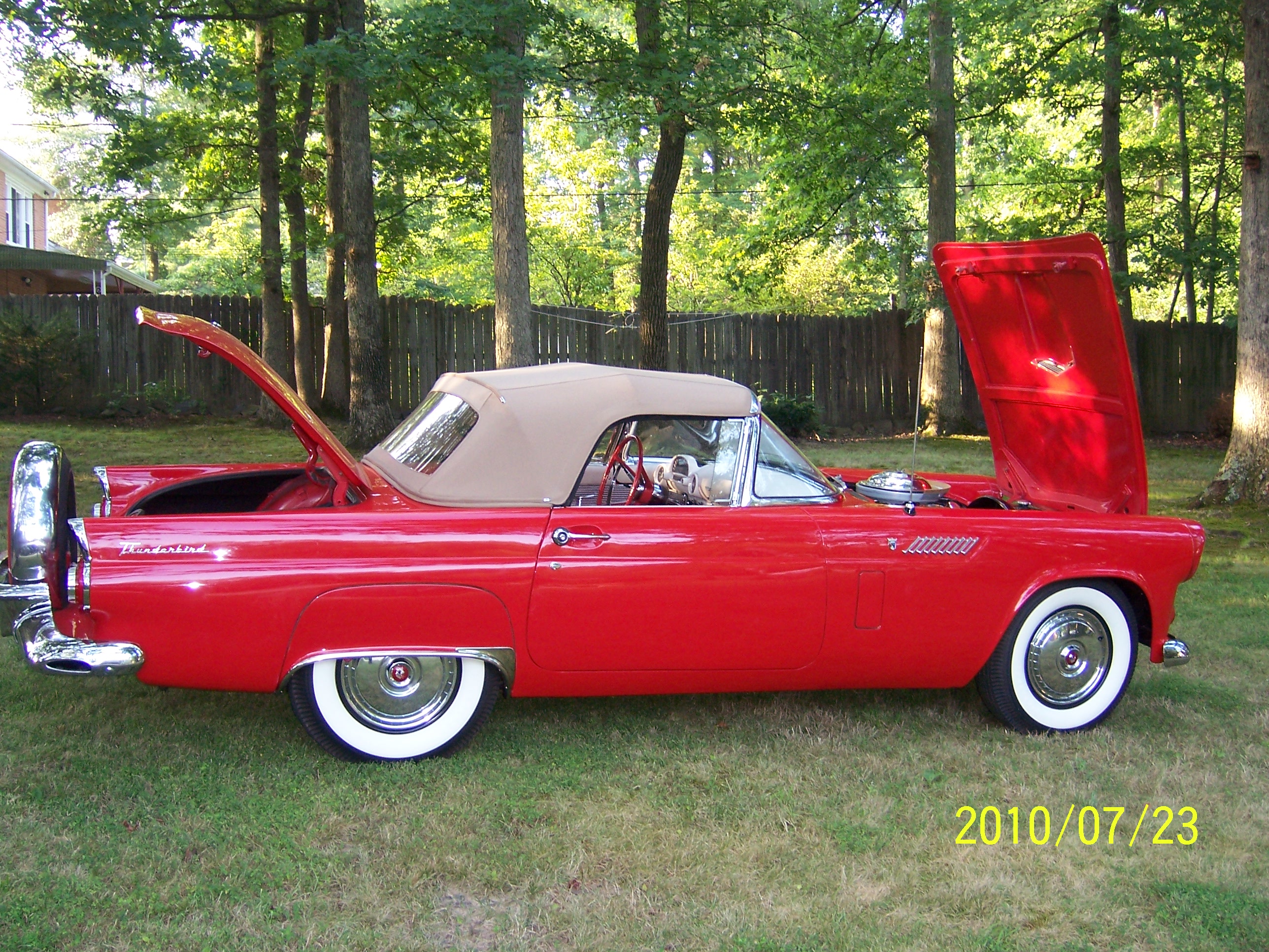 1956 Ford Thunderbird